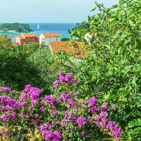 Apartman Adria Arba